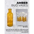 thumbnail image 6 of Serene Spaces Living Set of 6 Large Amber Bud Vases, 6.5" Tall & 2" Diameter, 6 of 6