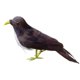 thumbnail image 4 of Simución de pájaro emplumado falso artificial, pájaros de pie, decoración de para el hogar, foto 4 Zulema Pájaros artificiales coloridos, 4 of 8