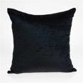 thumbnail image 1 of HomeRoots 334016 Housse de Coussin Noire Transitionnelle 20 x 7 x 20 Po avec Insert en Poly, 1 of 1