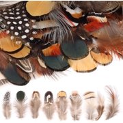 9 Styles Assorted Craft Feathers (180Pcs), Natural Chicken Feathers for DIY Earring Wings Dream Catcher Crafts Activities Project Wedding Party Home Decoration Carnival Costume Party Mask Decoration