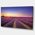 thumbnail image 2 of Lavender Field in Provence France - Oversized Landscape Wall Art Print, 2 of 3