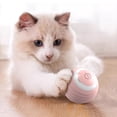 thumbnail image 7 of Yirtree BPA Free Smart Interactive Cat Toy Ball USB Rechargeable Automated Cat Toy with Colorful Light Power Ball Kitten Toy, 7 of 7