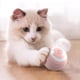 thumbnail image 3 of Juguete interactivo inteligente para gatos Yirtree, libre de BPA, recargable por USB, juguete automatizado para gatos con luz de colores, juguete para gatitos, 3 of 7