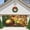 D, variant on The Conscious Place, Book One, (Paperback)