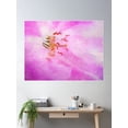 thumbnail image 2 of Cherry Blossom Festival Poster Wall Art, Modern Wall Decor For Living Room Bedroom, 16x24 UNFRAMED, 2 of 3