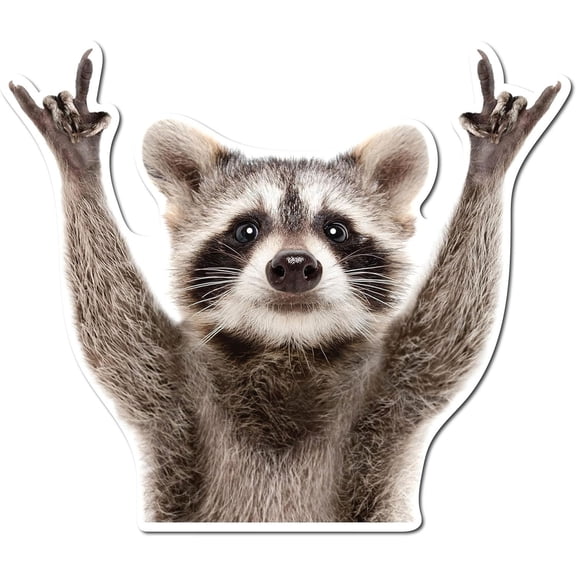 Adhesive Raccoon Car Decals PVC For Exterior Vehicle Decoration Easy Installation Auto Decorative Stickers