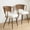 2 pcs Beige Cushions + Dark Walnut Rattan Metal Legs, variant on Wicker dining chairs - 2-piece set - Farmhouse soft cushioned cane back kitchen chair, sponge cushion, wing-back dining chair with metal legs, suitable for home and kitchen (dark brown)