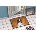 thumbnail image 2 of Carolines Treasures SC9131JMAT Paillasson Intérieur Ou Extérieur 24 x 36 Po Springer Spaniel, 2 of 4