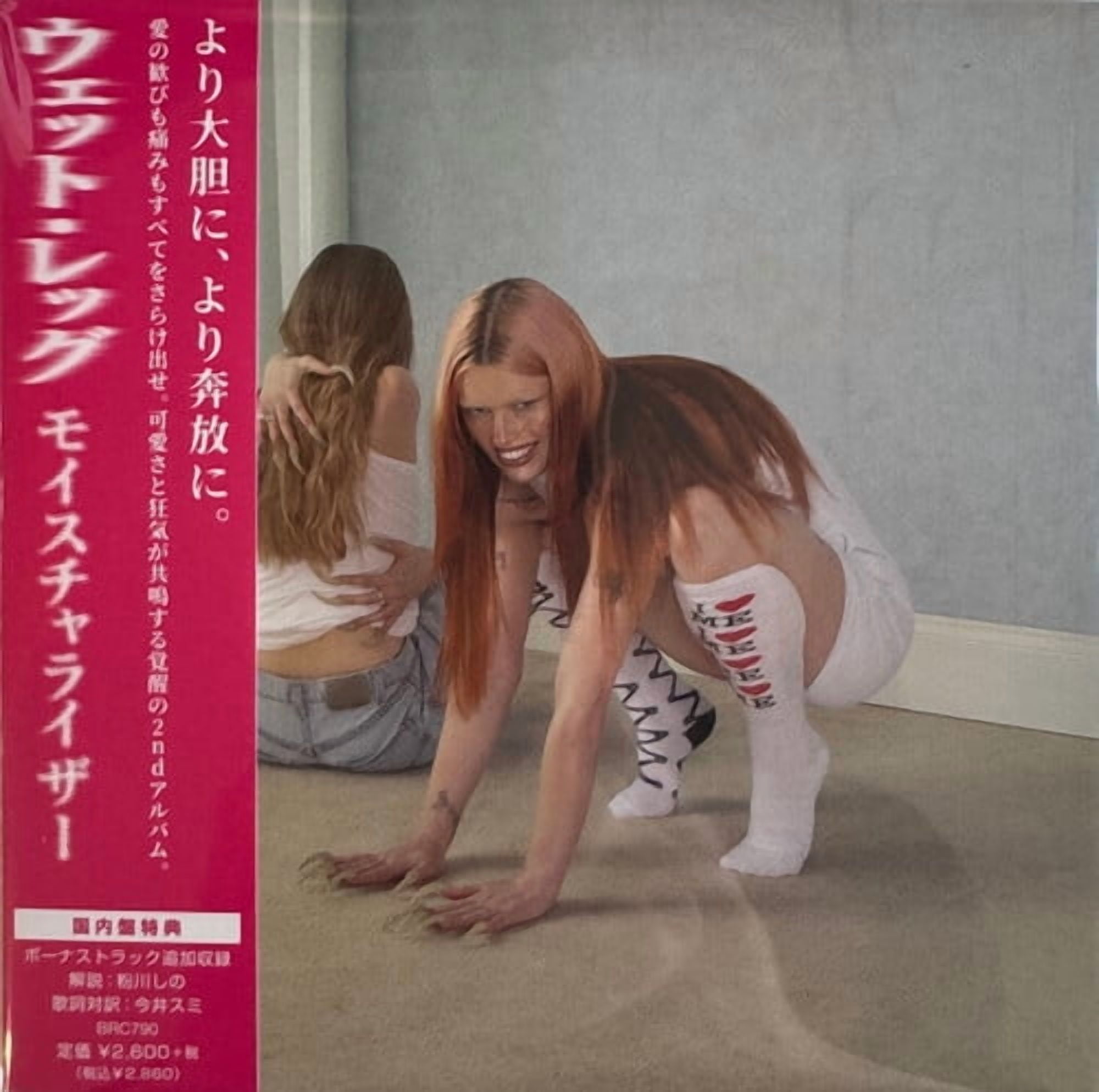 Wet Leg - Moisturizer - Music & Performance - CD - Walmart.com