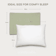 thumbnail image 7 of Comfy Cubs Toddler Pillow with Cotton Pillowcase, 13" x 18" - Microfiber Fill, Sage, 7 of 7