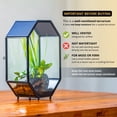 thumbnail image 3 of NCYP 6x8 inches Octagon Shaped Stainless Steel Glass Enclosure Terrarium with Mesh and Side Opening Door, for Jumping Spiders, Insects (Terrairum Only), 3 of 13