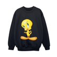 thumbnail image 1 of Looney Tunes Boys Tweety Standing Sweatshirt, 1 of 3