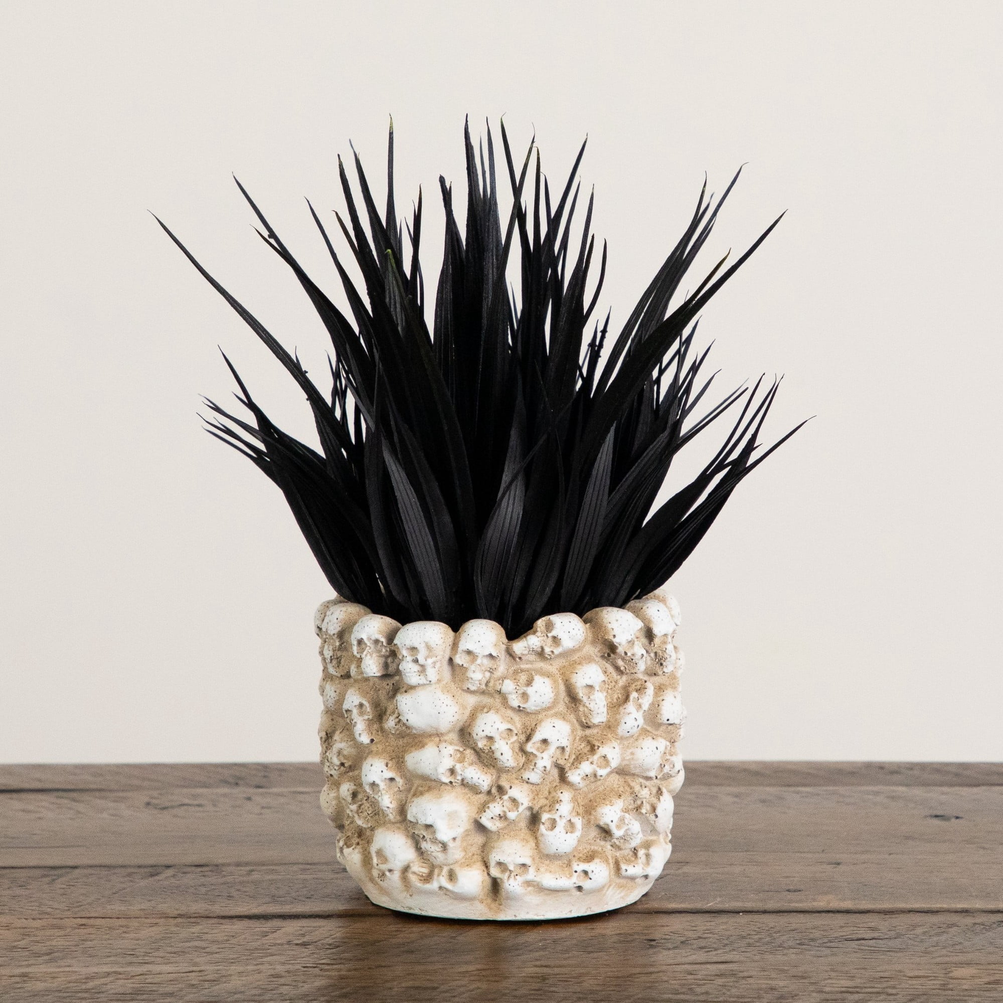 9in. Artificial Halloween Black Succulent Plant in Gothic Skull Planter