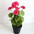 thumbnail image 3 of Artificial Flowers Geranium Bush Begonia Silk Flowers for Outdoor Indoor Artificial Plant Flowers for Patio Lawn Garden Decor (4PCS Red), 3 of 4