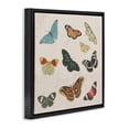 thumbnail image 2 of Stupell Industries Traditional Vintage Butterfly Flight Black Floating Frame Canvas Art, 18 x 18, by Dan Meneely, 2 of 8