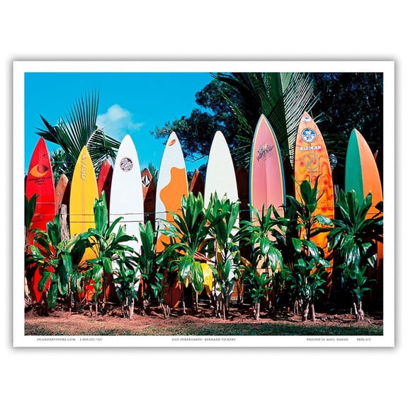 Old Surfboards Never Die - Maui Hawaii - From an Original Color Photograph by Bernard Lassalle - Master Art Print (Unframed) 9in x 12in