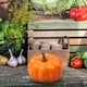 thumbnail image 4 of Mini Calabazas Artificiales - Espuma de poliestireno, realistas, para Decoración de Otoño y Acción de Gracias, 4 of 5