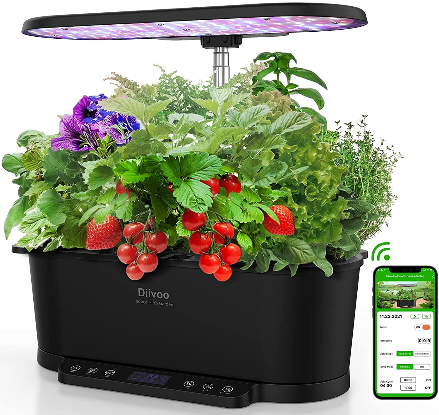 2 PLANT INDOOR HERB GARDEN DECOR HYDROPONIC GROW SYSTEM BUBBLE TUB ONLY 
