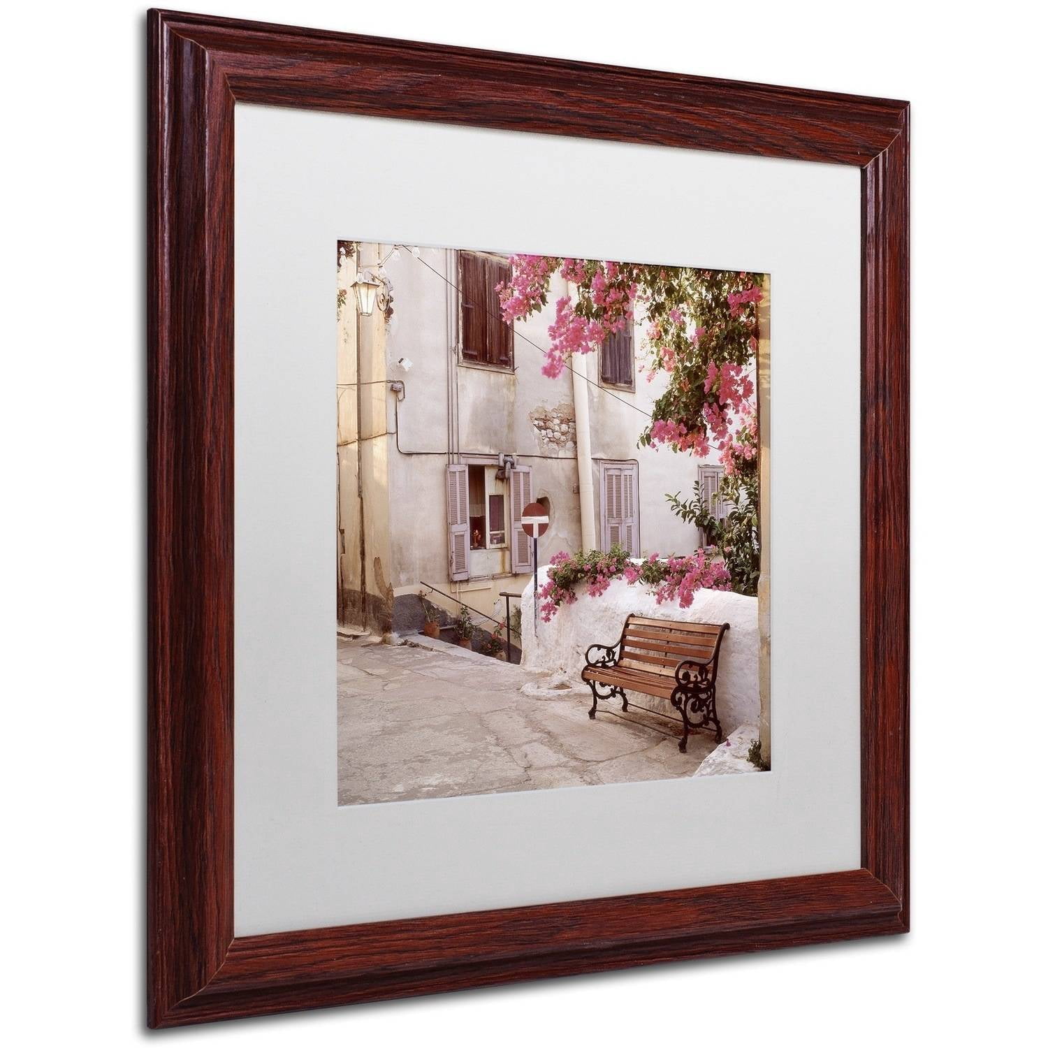 Trademark Fine Art "Provence I" Canvas Art by Alan Blaustein, White Matte, Wood Frame