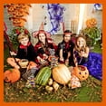 thumbnail image 2 of 200Pcs Halloween Snack Bags Clear Candy Cookie Treat Bags with Twist Ties, 4 Patterns Pumpkin Bat Spider and Witch Design, 2 of 7