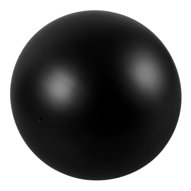 Minkissy Boule de Réflexion de Jardin Sphère en Acier Inoxydable Finition Polie pour Propriétaires 1Ensemble