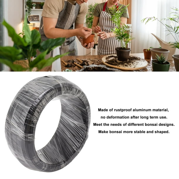 Alambre De Aluminio Para Bonsais, Alambre Del Entrenamiento Del rbol De  Los Bonsais, Equipo De Herramientas Negro De Los Bonsais 500g, Para Jardn  Horticultura Paisaje Plantando | Bodega Aurrera en lnea
