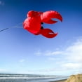 thumbnail image 4 of In the Breeze 5230 — Crab Big Breeze Windsock™ — Large, 3D Beach Windsock for Yards, Gardens, Patios, 4 of 7