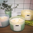 thumbnail image 3 of Rainforest Reset Scented Jar Candle (15 oz) – Elemental Aromatics Collection, 3 of 5