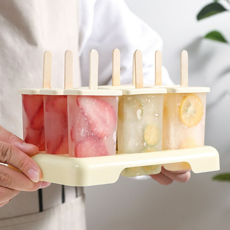Popsicle Molds, Mini Popsicle Mould for Kids, Reusable DIY 8 Pieces Ice Pop  Mould for Homemade, Upgrade Ice Cream Mold for Kids with Sticks and Ice