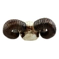 thumbnail image 4 of Ebros Large Bighorn Ram Skull Wall Decor 11.25" Wide Hanging Sculpture Plaque Wild Beast Trophy Figurine, 4 of 4