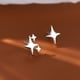 thumbnail image 4 of Clásico Pendientes Estrella Niñas Cristal Plata Dainty Mujeres Zirconia Oreja Piercing Stud Earrings, 4 of 7