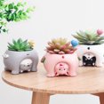 thumbnail image 3 of Cute Cat Pig Dog Succulent Plant Container Resin Flower Pot Bonsai Ornament, 3 of 8