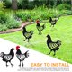 thumbnail image 4 of Pollo Granja Arte Silueta Estaca Metal Gallo Ornamento Modelo Imitación Animal Ornamento Miniatura Decoración Jardín Gallina Decoración Suelo Insertar Patio Arte Yuarrent TO005668-01, 4 of 7