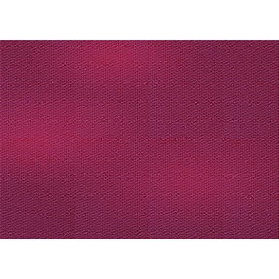 Ahgly Company Machine Washable Indoor Rectangle Transitional Raspberry Red Area Rugs, 3' x 5'