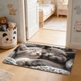 thumbnail image 4 of Mog Floor Mat, Indoor Outdoor Rug With Non-Slip Backing, for Porch Hallway and Pet Feeding Area, Multi-color, 4 of 6