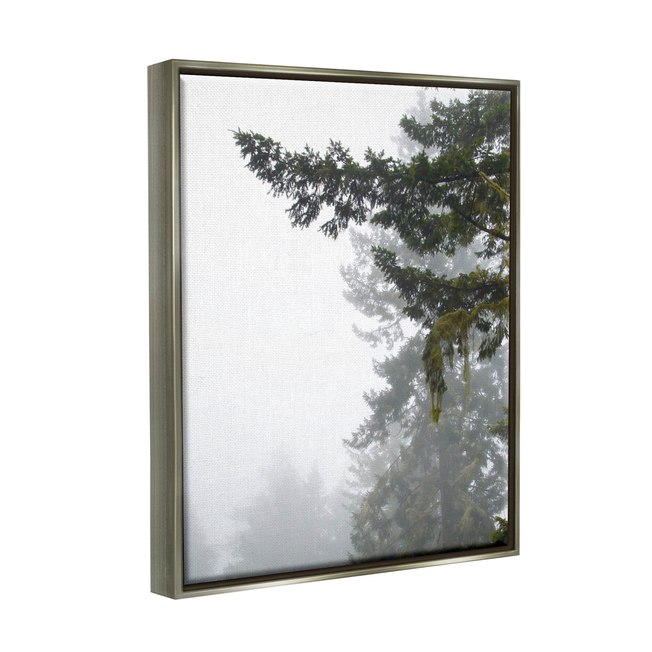 Stupell Industries Majestic Pine Tree Overhang Photograph Luster Gray Floating Framed Canvas Print Wall Art, Design by Debra Van Swearingen
