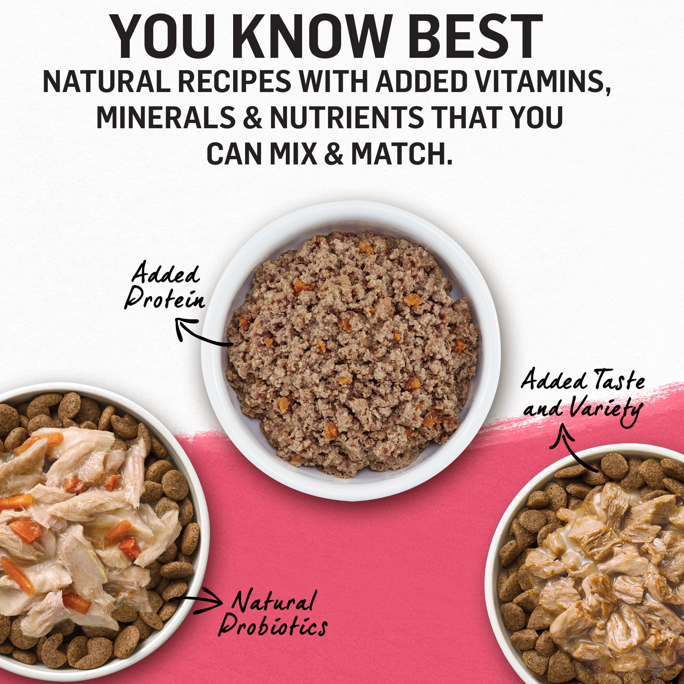 Purina beyond superfood blend dog food sale
