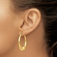 thumbnail image 3 of Primal Gold 14K Yellow Gold Ram Hoop Earrings, 3 of 4