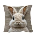 thumbnail image 3 of Pillow Covers 18x18, Imitation Embroidery Easter Decorations Throw Pillow Covers, Short Lint Home Spring Decor for Bedroom Couch Cushion Cover, 3 of 7