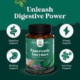 thumbnail image 4 of Natures Craft Pancreatic Digestive Enzymes Dietary Supplements for Digestive & Gut Health, 60 Capsules, 4 of 10