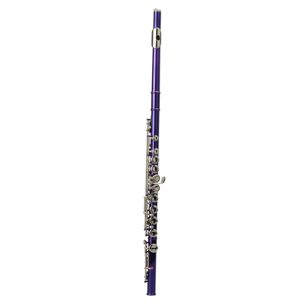 Cupronickel C 16 Closed Holes Concert Band Flute Purple