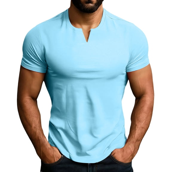 Men's Casual Sports Fitness Training Running V-Neck T-Shirt Breathable Lightweight Fabric All-Season Active Basic Tees,Light Blue,L