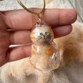 thumbnail image 5 of Transparent Cat Hair Keepsake Charm Pendant Pet Fur Storage Container Ornament Durable Acrylic Cat Figurine Memorial Keychain for Pet Lovers Gift B, 5 of 7