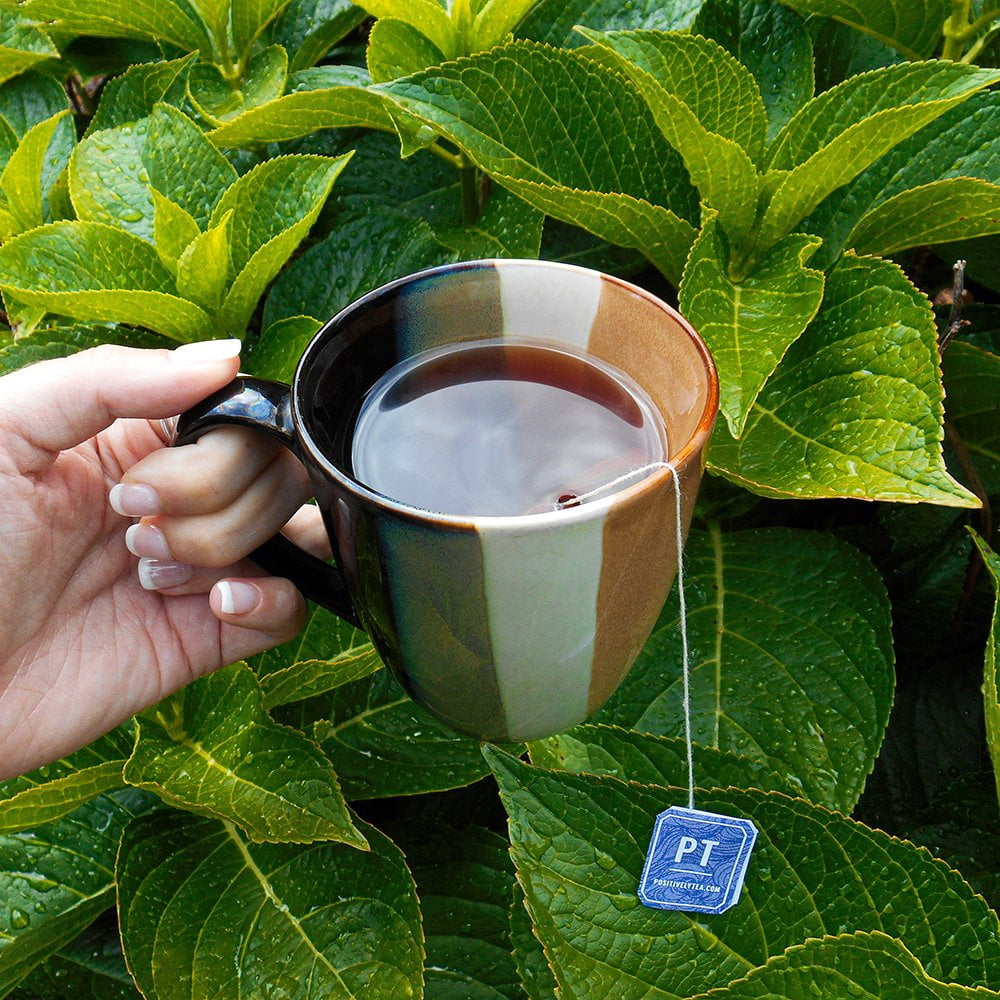 Positively Tea's Organic Assam Tea, Black Tea Bags, 120 CT Tea Bags 6 Boxes