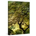 thumbnail image 5 of "Magical Tree" Painting Print on Canvas, 5 of 7