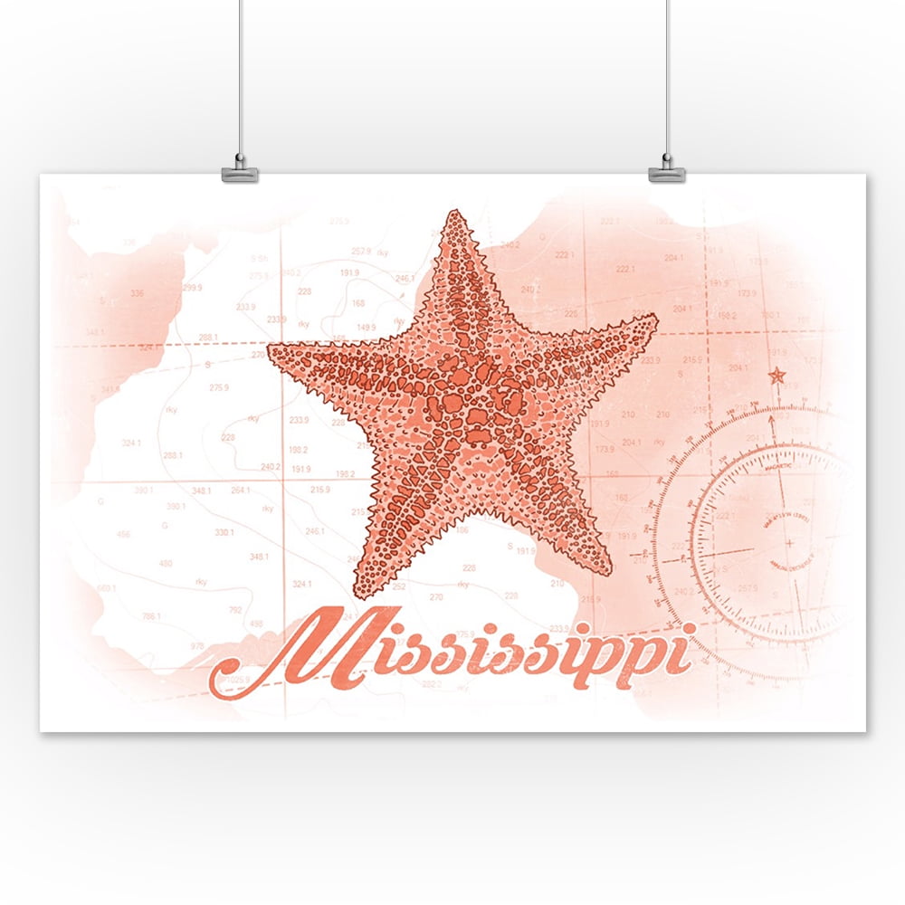 Antique Starfish Diagram N Professional Reproduction VINTAGE STARFISH PRINT