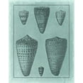 thumbnail image 2 of Vision Studio 15x18 Black Ornate Wood Framed with Double Matting Museum Art Print Titled - Spa Shell Collection I, 2 of 4