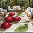 thumbnail image 3 of Fsddascl Vintage Red Cherry Outdoor Rug for Patio/Deck/Porch, Non-Slip Large Area Rug 4 x 6 Ft, Retro Summer Botanical Indoor Outdoor Rugs Washable Area Rugs, Reversible Camping Rug Carpet Runner, 3 of 5