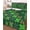 Green, variant on Twin Quilt Bedding Set, Saint Patrick's Day Reversible Summer Quilt 3 Pieces, Vintage Green Plaid Lucky Clovers Lightweight Bedspreads Coverlets with 2 Pillow Shams for All Seasons