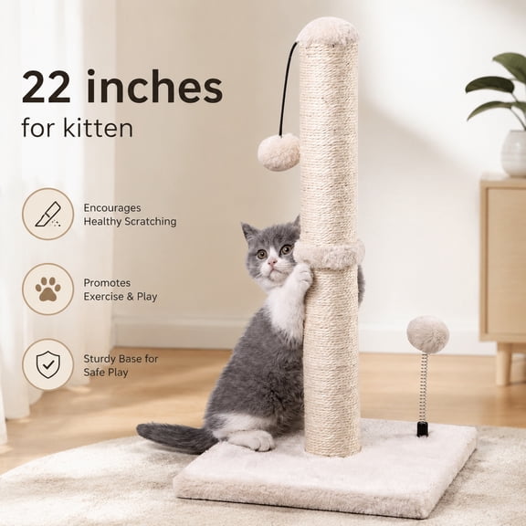 Cat Scratching Post Kitten Scratcher with Sisal Scratch Posts and Hanging Ball, 22 Inch Beige Premium Basics for Small Cats